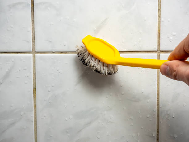 Best Mold Damage Repair  in Waukon, IA