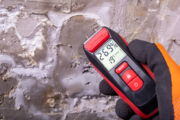 Best Mold Testing  in Waukon, IA