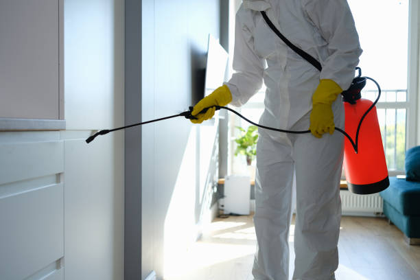 Best Emergency Mold Removal  in Waukon, IA