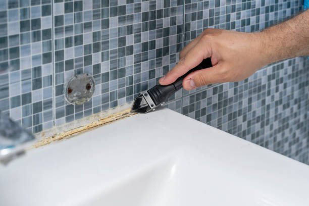 Best Fast Mold Removal  in Waukon, IA