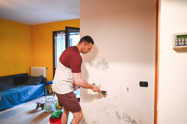 Best Residential Mold Removal  in Waukon, IA